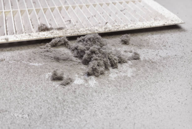 Best Home Air Vent Cleaning  in Broadmoor, CA