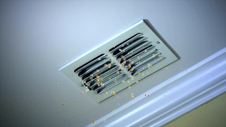 Best Local Air Duct Cleaning Services  in Broadmoor, CA