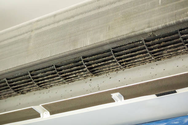Best Home Air Vent Cleaning  in Broadmoor, CA